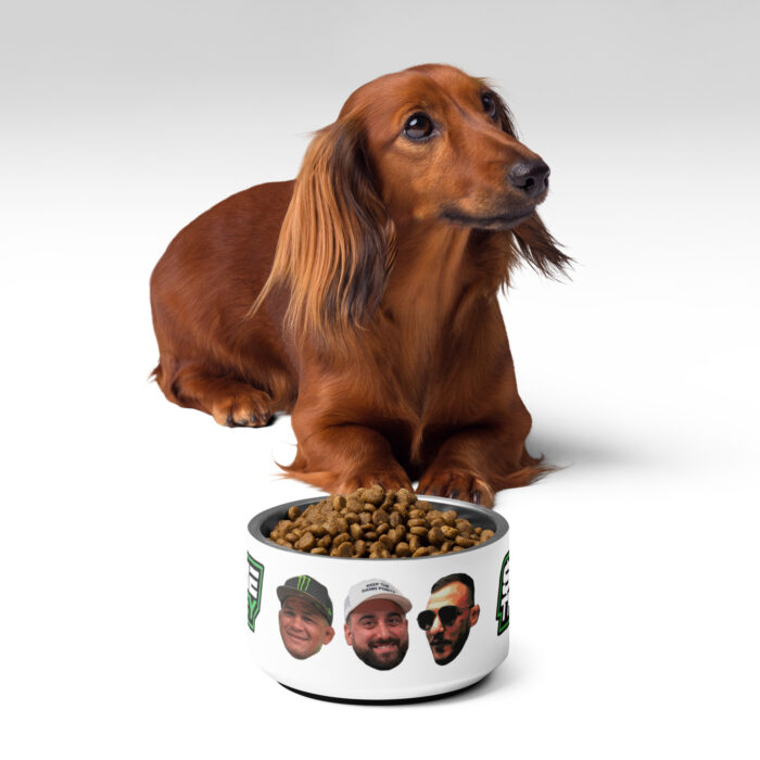 Pet bowl